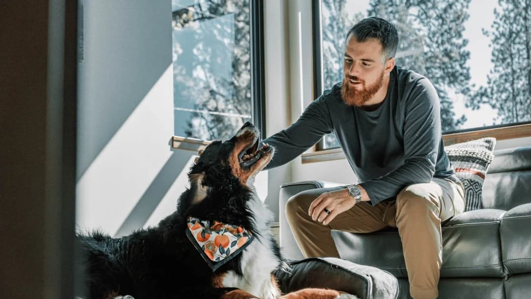 Is $400 too much to neuter a dog? How to judge your quote