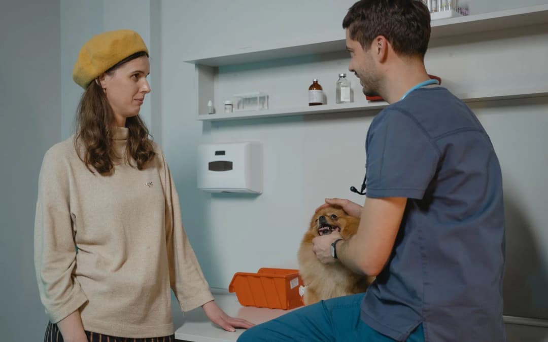 Is your spay or neuter quote reasonable? How to judge it